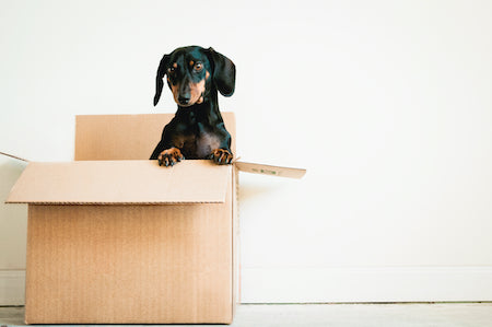 Items You Should Not Pack for Your Move